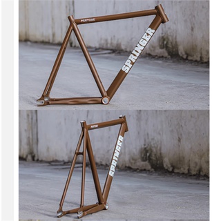 Khung xe đạp Fixed Gear Springer Pantone