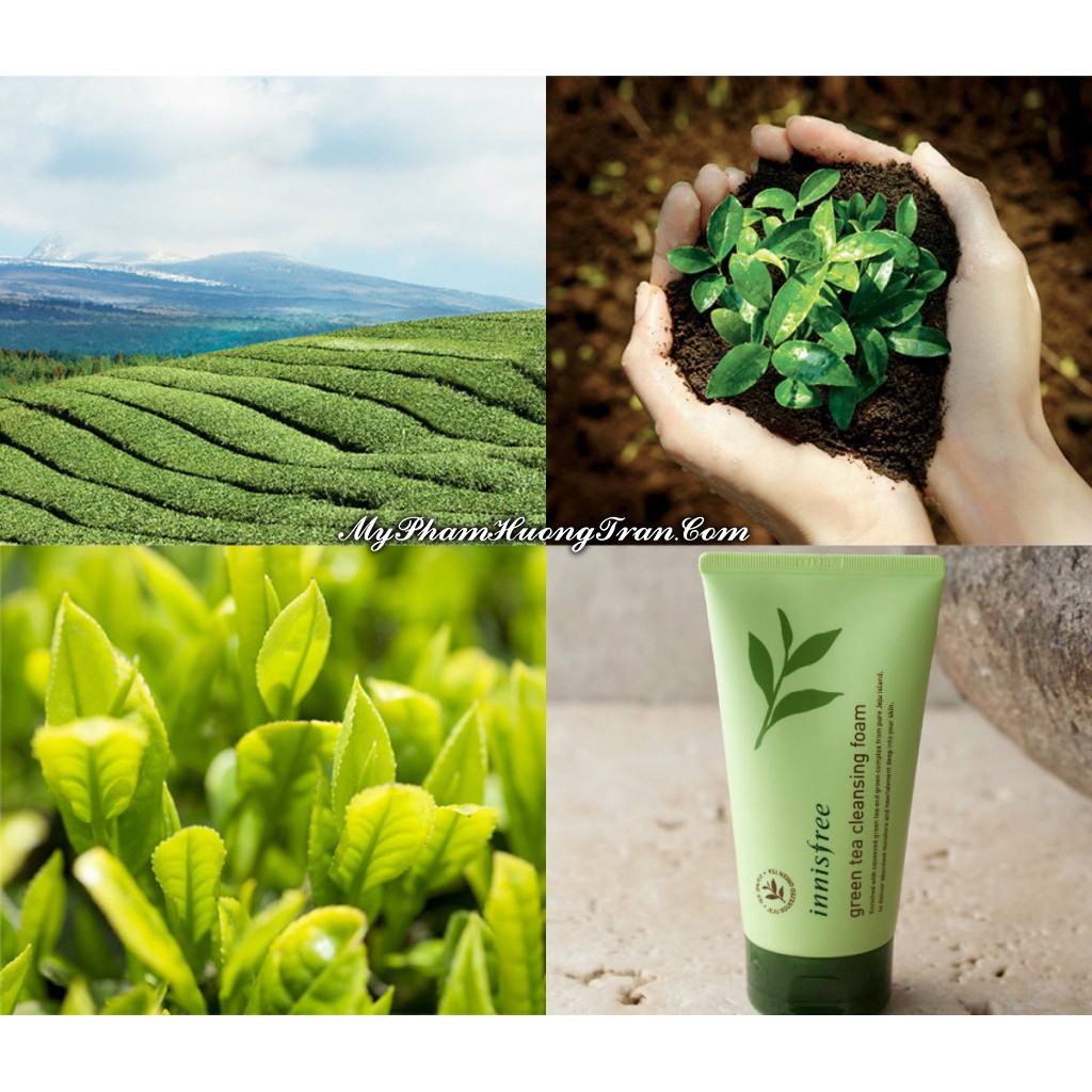 Sữa Rửa Mặt Trà Xanh Innifree Green Tea Cleansing Foam Size Lớn 150ml | BigBuy360 - bigbuy360.vn