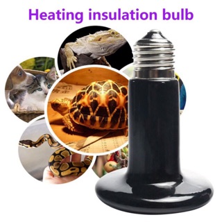 Đèn sưởi sứ cho thú cưng , bò sát 50w/100w