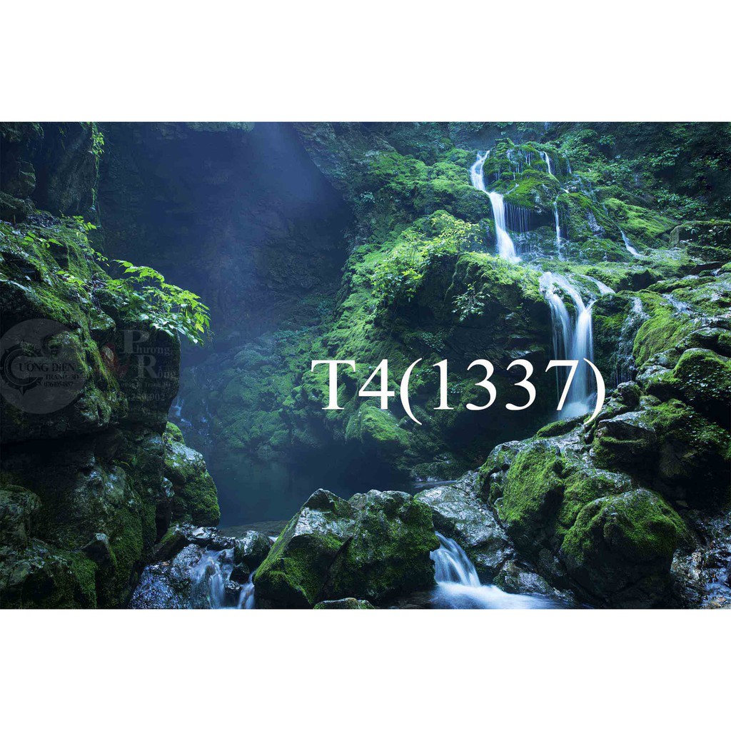 Tranh dán bể cá 3d nhiều kích thướt