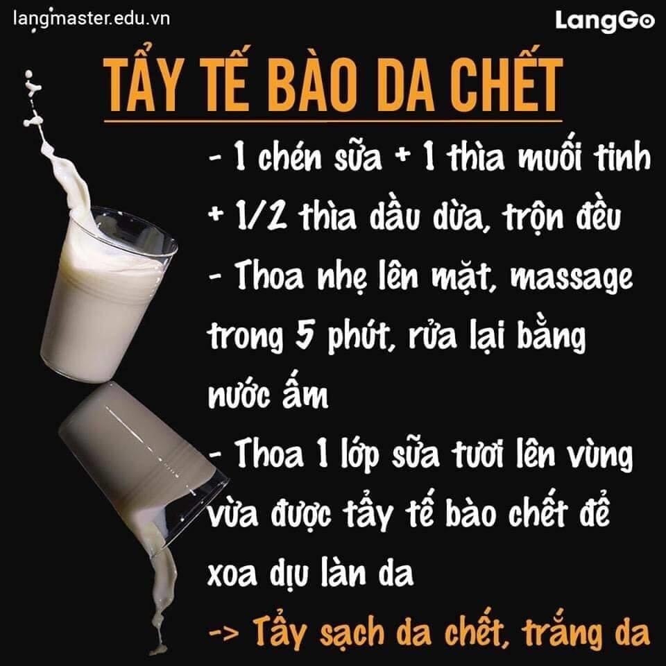 Set 100 hũ sữa mini không đường