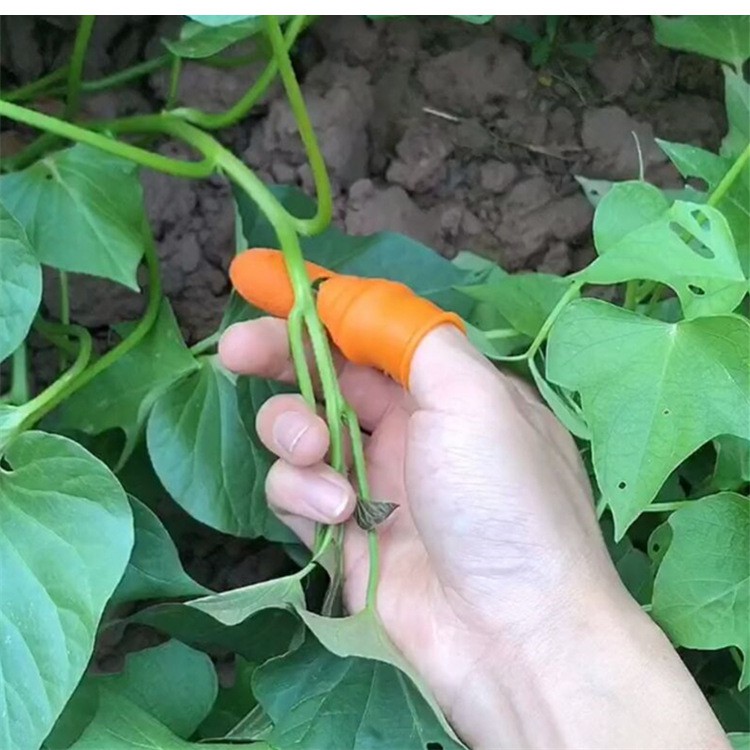 Bộ Móng Nhặt Rau Củ Quả Chống Bẩn Móng Tay, Ngón Cái Bấm Cắt Rau Củ - Nạo Gọt Tiện Lợi - Dumi Shop