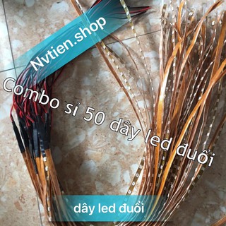 combo sỉ 50 dây led đuổi ( BH lỗi 1 đổi 1)