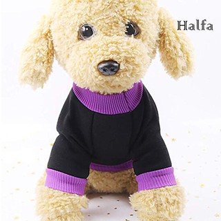 Bộ Đồ Hóa Trang Halloween Cho Thú Cưng