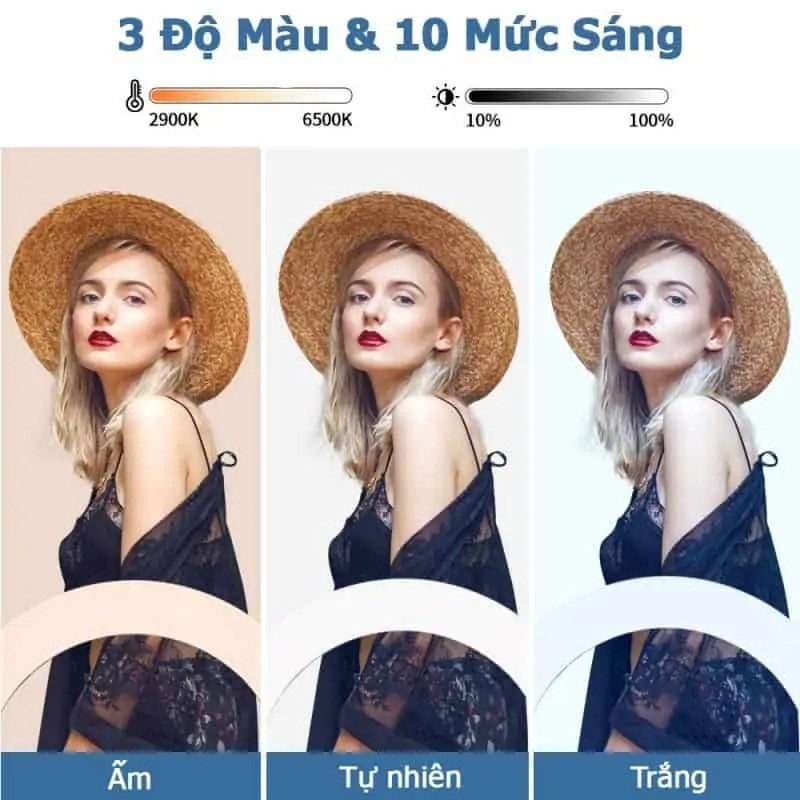 Đèn Livestream RL-18 45cm Có 3 Kẹp ĐT+Điều Khiển+Chân 2m1, Đèn Hỗ Trợ Phun Xăm, Bán Hàng - [ PK.Tốt - BH 12 Tháng ]