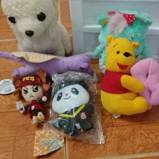 Gấu của chị trần Gigi