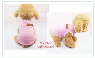 ❌ Áo cotton kẻ ngang Classic