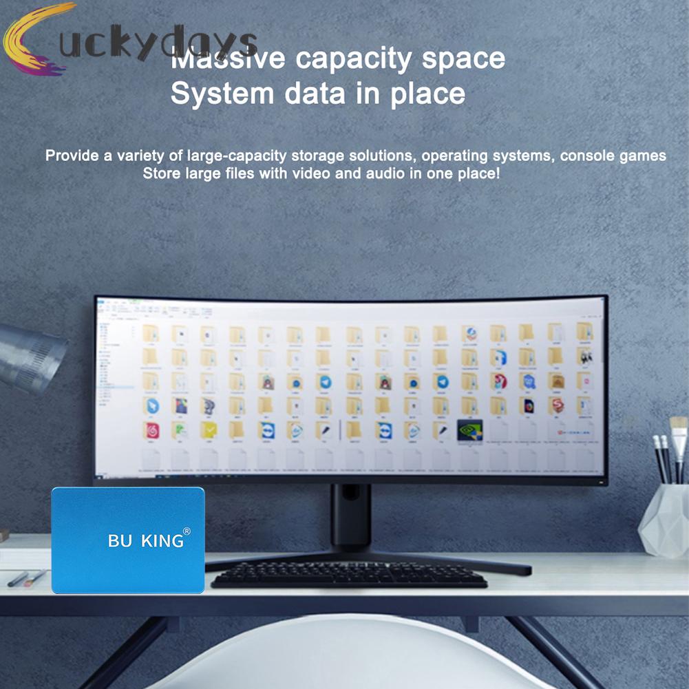 LUCKYDAYS BU KING 2.5 inch SATAIII Internal Solid State Drive Robot Head Pattern Blue | BigBuy360 - bigbuy360.vn