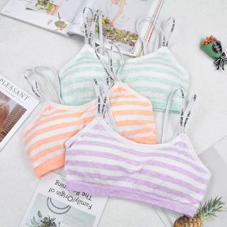 Seamless Stripe Sports Bra