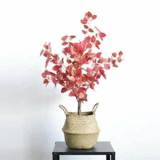 giỏ cói 23cm để cây, cắm hoa