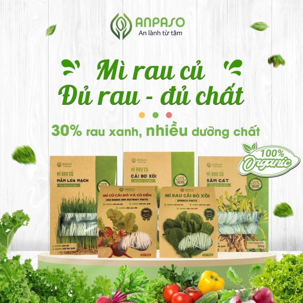 Mì rau củ hữu cơ Anpaso, mỳ rau organic eat clean giảm cân,ăn chay, thực dưỡng,bổ sung vitamin,chất xơ 300g