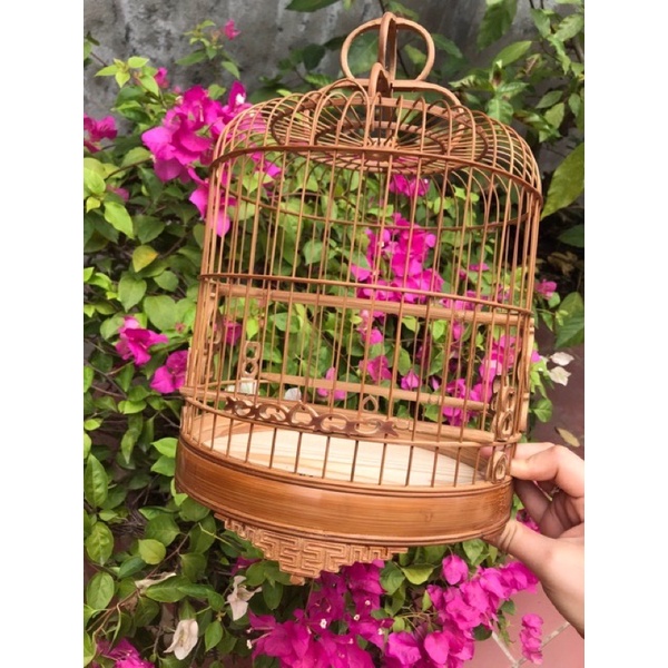 Lồng chim vành khuyên Bamboo lồng khuyên trúc form lùn đục chiện size 22x22 cao cấp