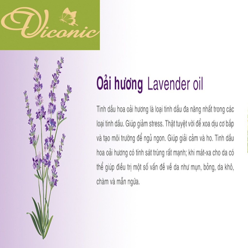 BỘ 1 TINH DẦU LAVENDER 10 ML + 1 TINH DẦU NGỌC LAN TÂY 10 ML + 1 TINH DẦU HOA HỒNG 10 ML VICONIC