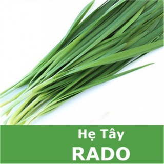 Hạt giống Hẹ Tây 521