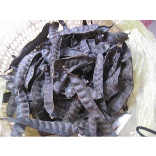 500g bồ kết khô nguyên quả