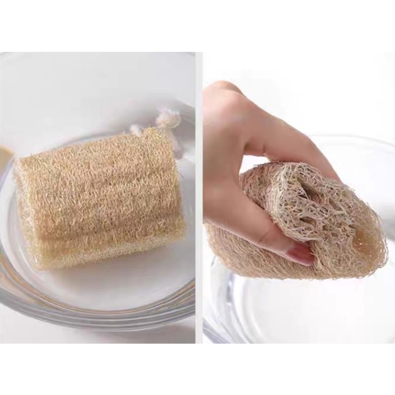 Combo 10 Xơ Mướp Cao Cấp Tự Nhiên / Bông Tắm Tẩy Tế Bào Chết / Miếng Rửa Chén Bát