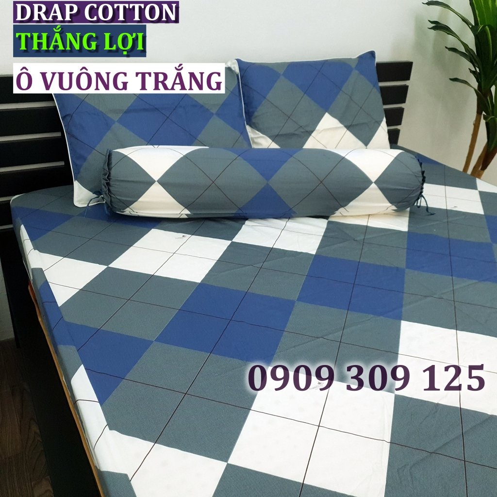 bộ ga Thắng lợi cotton, ga giường IN LOGO (4 món) (mẫu ô xanh xám) ảnh thật