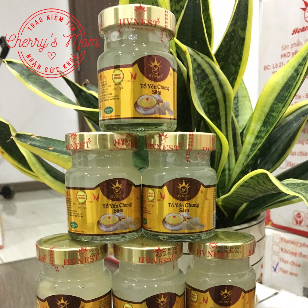 Tổ Yến Chưng Nhân Sâm (01 Hũ) Chưng Sẵn 70ml Chính Hãng Nha Trang Khánh Hòa Cho Người già, Người Ốm, Phái Mạnh