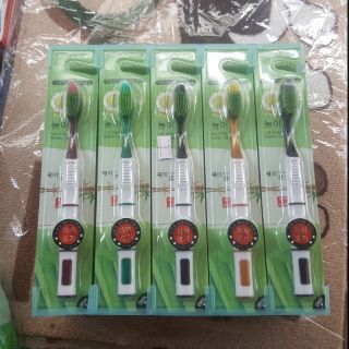 Hộp bàn chải đánh răng than tre hoạt tính hàn quốc