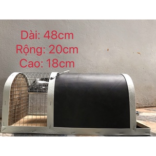 bẫy chuột thông minh, loại to chất liệu (gỗ, sắt)