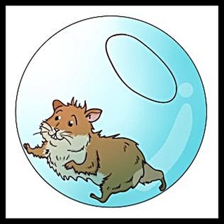 Bóng đồ chơi Bd196 cho chuột hamster