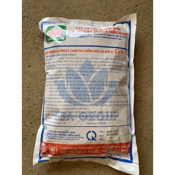 Ngô LVN 10- Ngô lai 10