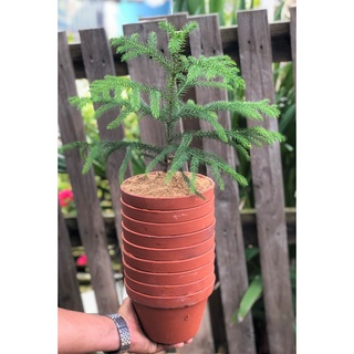 Bộ 10 chậu đất nung trồng lan trồng cây số 2 rộng 16,5cm x cao 11cm