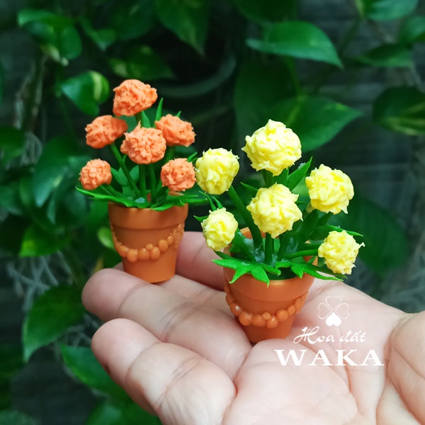 Set Tết-Mô Hình Chậu Cúc Vạn Thọ 1/12