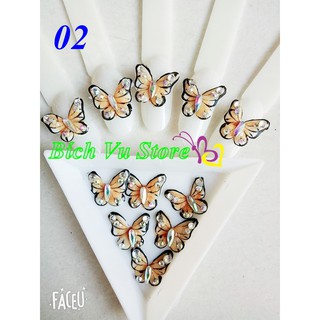 Hoa nỗi 4D, fanatsy - Bướm 13k/con