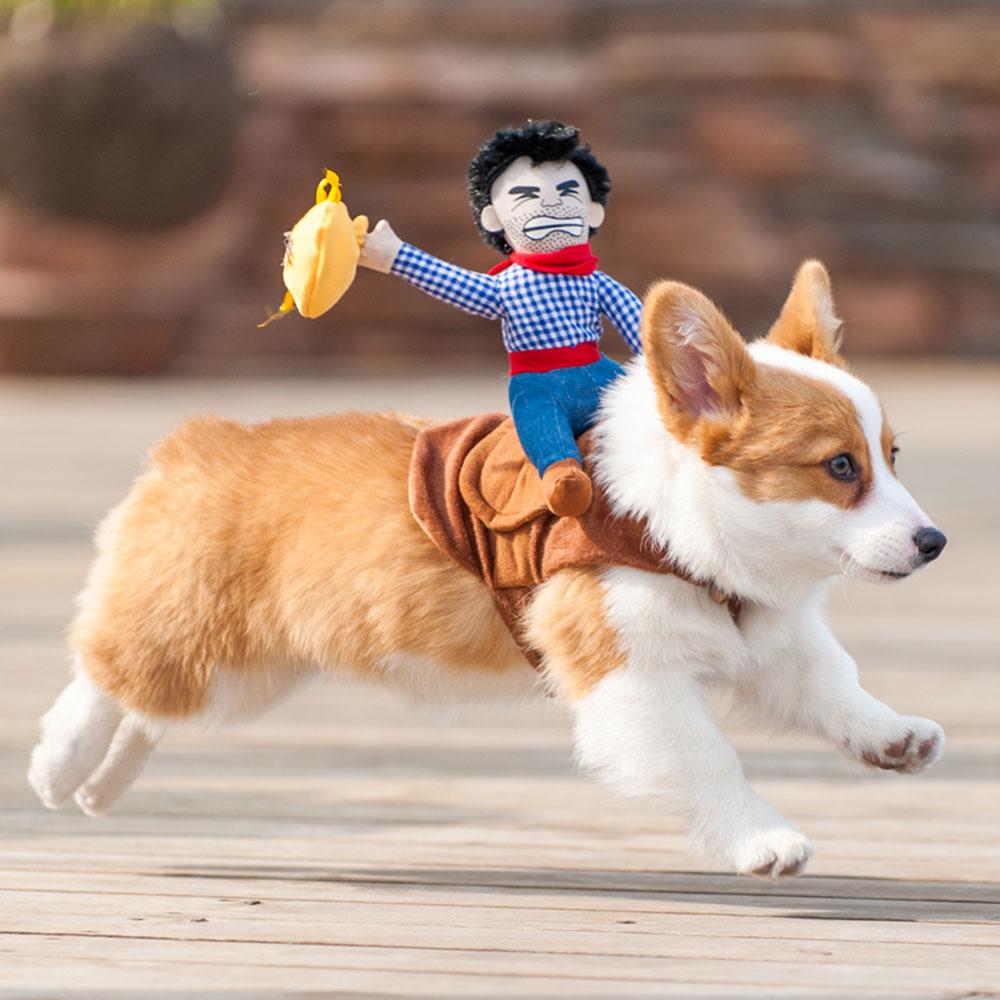 Bộ đồ hóa trang superman cho thú cưng