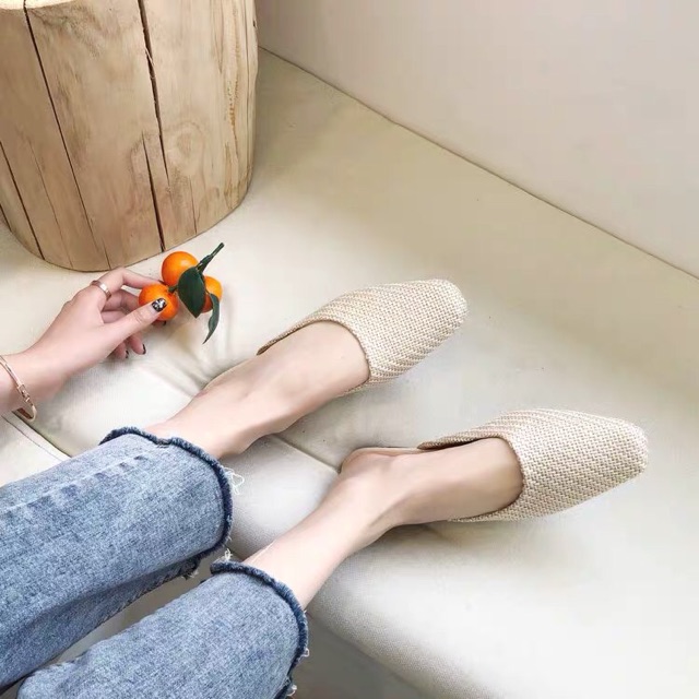Sục cói bệt