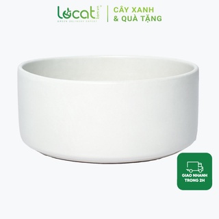 Chậu sứ trắng trồng cây hình tròn bẹt