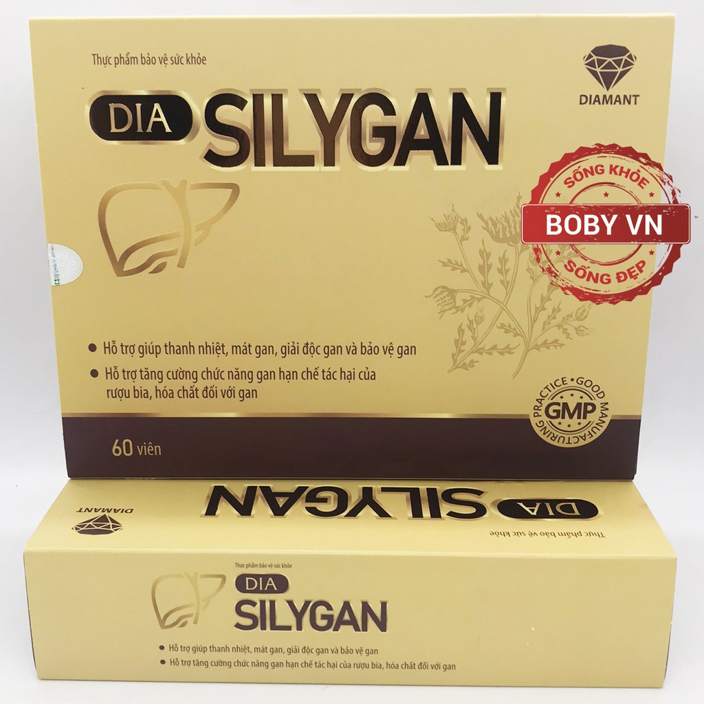 Dia Silygan thanh nhiệt, mát gan, giải độc gan và bảo vệ gan, hạn chế tác dụng của rượu bia, hóa chất đối với gan