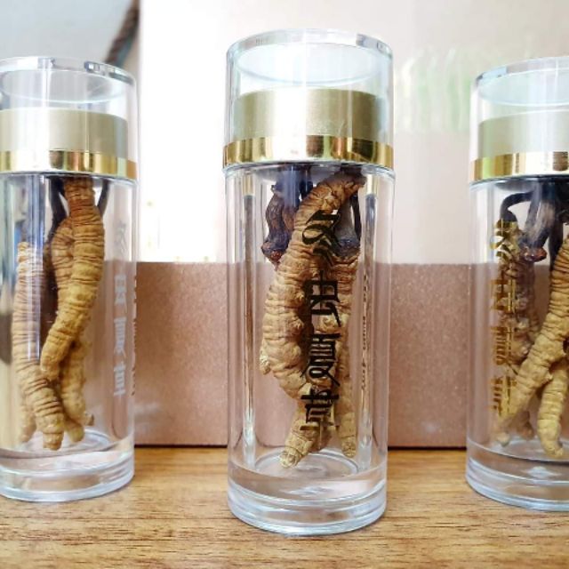 Đông trùng hạ thảo nguyên con Tây Tạng 3 con 1 gam