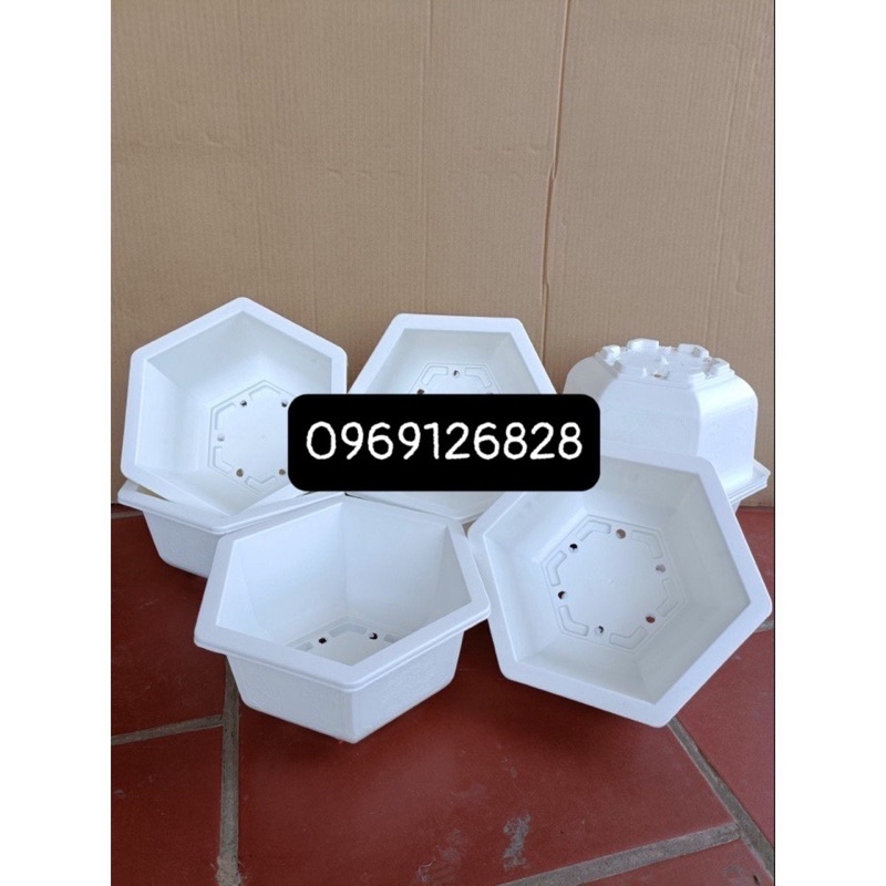 Chậu nhựa lục giác trồng cây Bon sai màu trắng_ chậu tứ quý hàng dày đẹp _ảnh thật