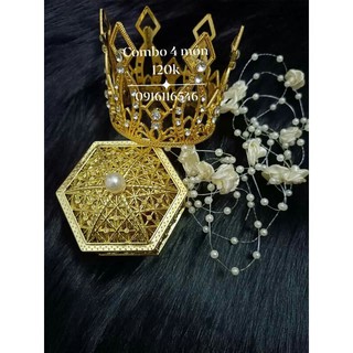 Combo chụp ảnh 1thảm+ 3 phụ kiện