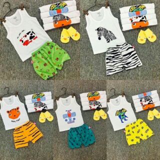 Bộ set 10b coton