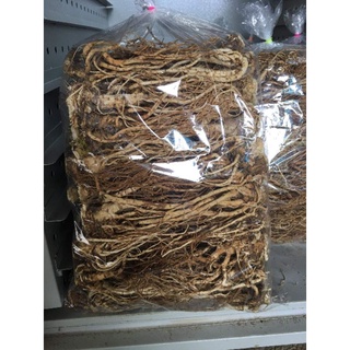 sâm đương quy khô 1kg