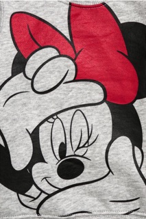 Bộ nỉ Mickey Minne❤️🎀 HM auth Sale