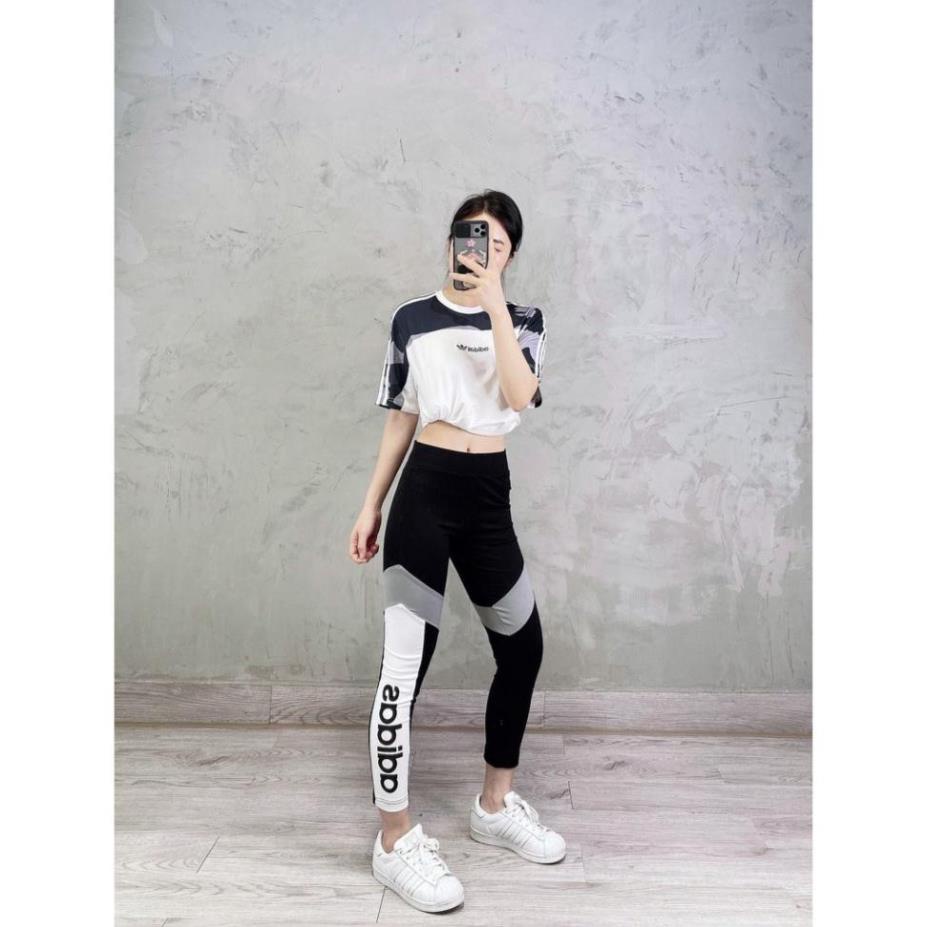 Quần Tập Gym Nữ [Legging] V Grey Line Phối Viền Độc Lạ [ĐỒ TẬP]