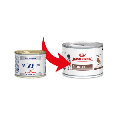 Pate cho chó mèo giúp phục hồi sức khỏe Royal Canin Recovery 195g