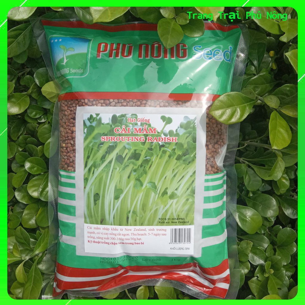 Hạt Giống Cải Mầm  Phú Nông - Gói lớn 500g - 1kg