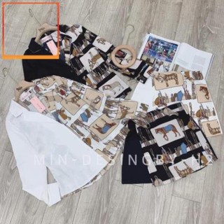 0013 set sơ mi ngựa kèm quần giả váy - sét sơ mi cl0003