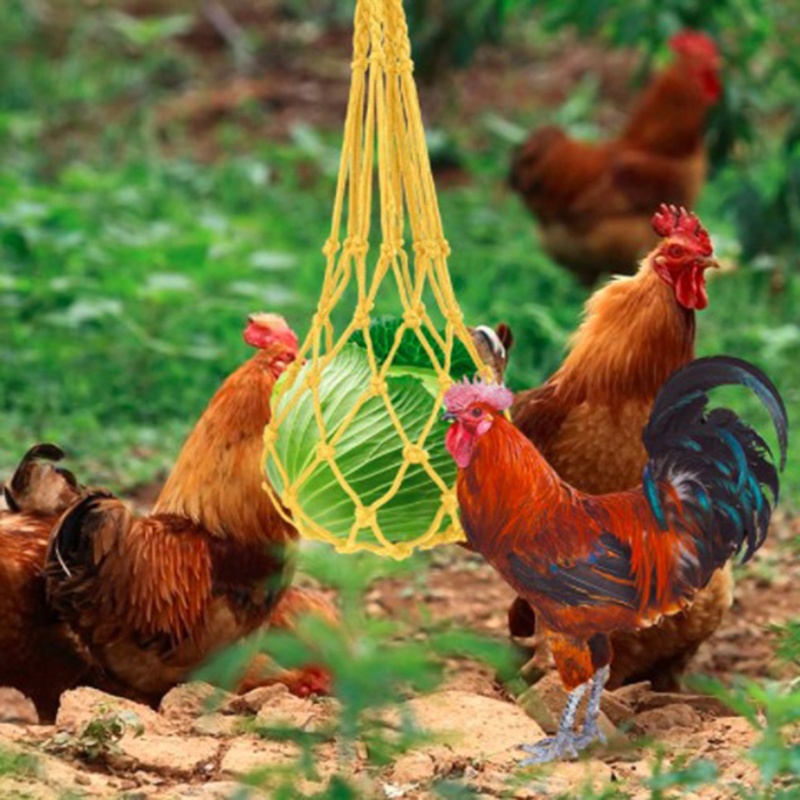 Giá Đỡ Thức Ăn Dạng Lưới Có Móc Treo Tiện Dụng Cho Gà / Rau Củ