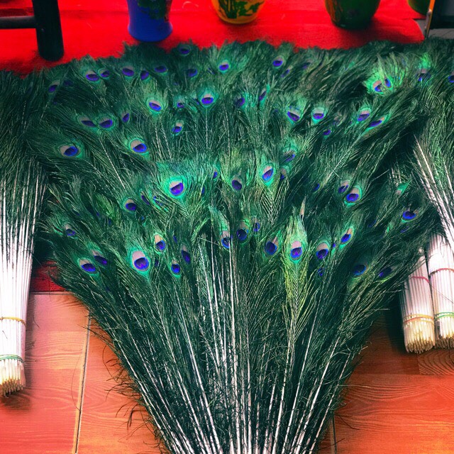 Combo 30 cành lông công 100cm loại mắt vừa | BigBuy360 - bigbuy360.vn