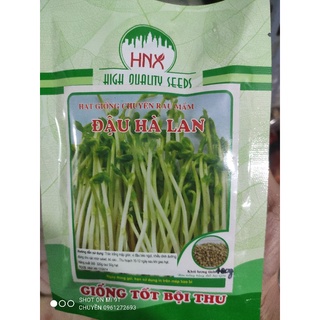 100gr Hạt giống rau mầm đậu hà lan chuyên dụng HNX