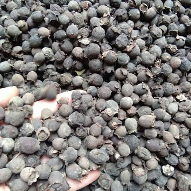 [FREESHIP 99K TOÀN QUỐC]Sim khô 1kg