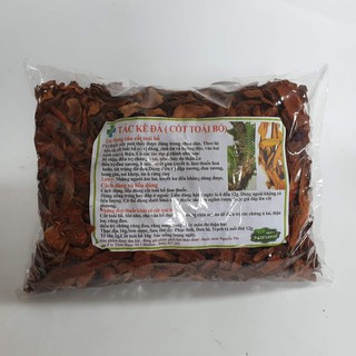 Tắc Kè Đá 1KG - video thật