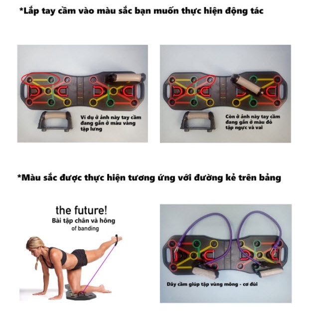Bảng Dụng Cụ Hít Đất Kèm Dây Kéo Đa Năng Cleacco Thiết Kế Nhiều Bài Tập Theo Màu Sắc BORO SPORT