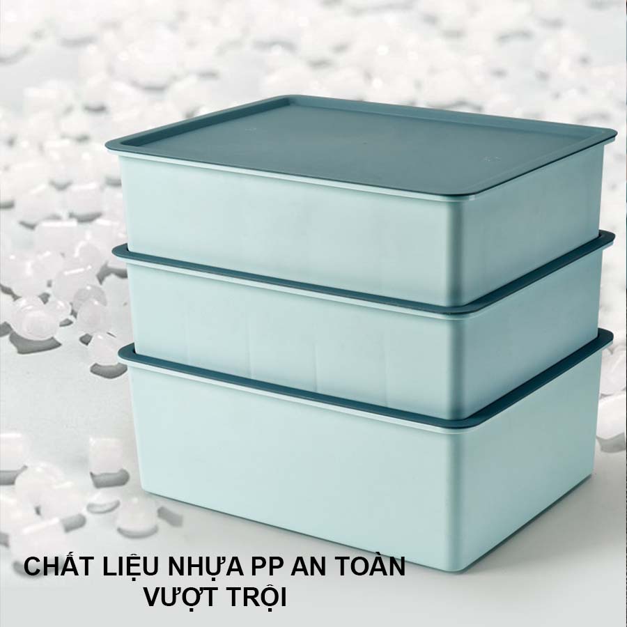 Hộp Đựng Đồ Lót, Khay Đựng Áo Lót, Tất, Vớ Có Nắp Chia Ngăn Chống Bụi P008